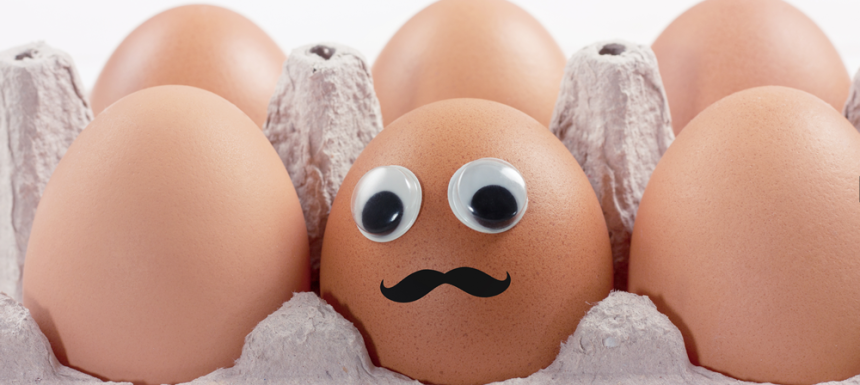 The Mysterious Egg by Bradley Cong The Mysterious Egg by Bradley Cong