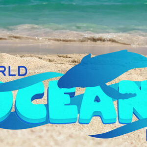 INSPIRATION FOR WRITING YOUR OWN ACROSTIC WORLD OCEAN DAY POEM